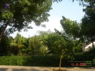 October 12 2006