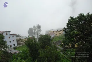 July 08 2008