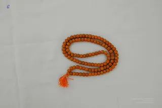 2008 - Nithyananda Galleria