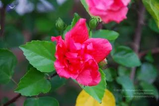 August 09 2010