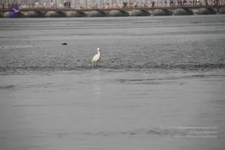 February 05 2013