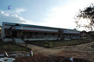 November 20 2008