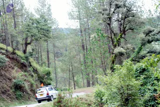 July 01 2008