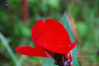 September 02 2009