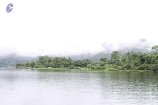 July 28 2011
