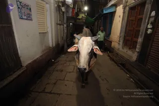 July 10 2016