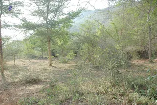 2008 - Nithyananda University - Udal and Kattumurthy Courses