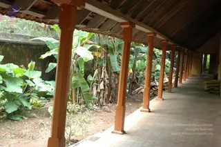 November 09 2006
