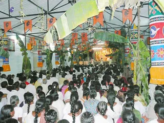 20080101 more 080529.jpg