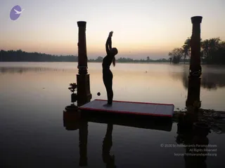 Nithyananda Yoga Poses