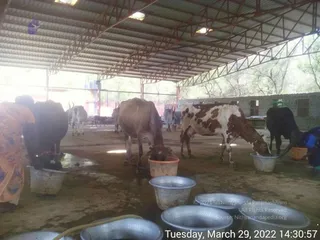 March 29 2022