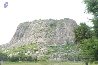 August 08 2009