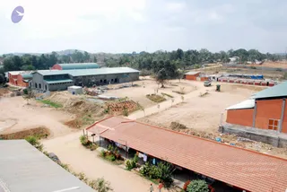 January 13 2010