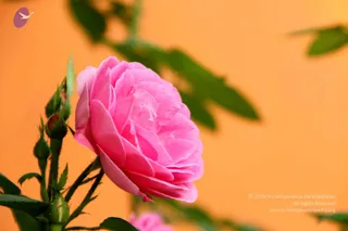 October 09 2011