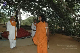 October 07 2006