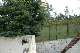 June 11 2010