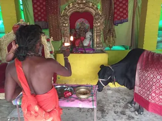 KAILASA India Uttar pradesh Kashi 221001 on 1/11/2022