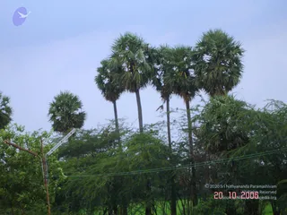 October 20 2006