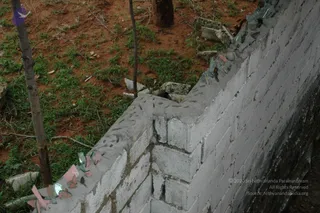 June 11 2010