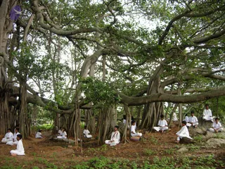 2008 - Glimpses Of Gurukul