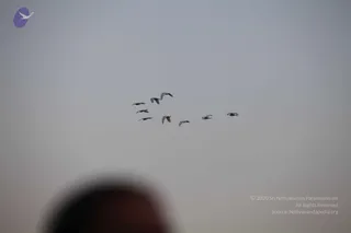 December 26 2010