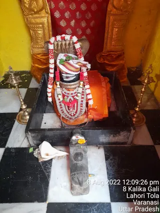 Photo 8288342
