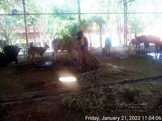 January 21 2022