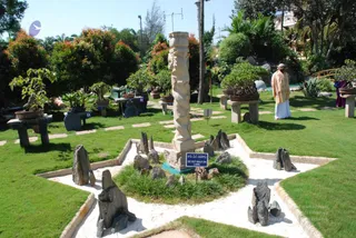 October 29 2008