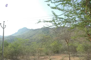 1978 - Tiruvannamalai - InnerGirivala