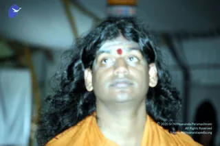 October 19 2006