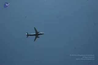 March 03 2007