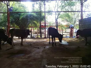 February 01 2022