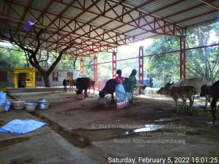 February 07 2022