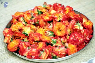 December 19 2010