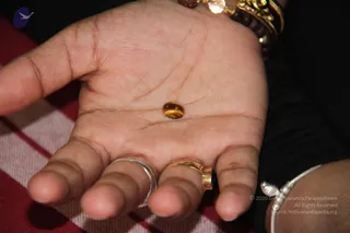 August 29 2011