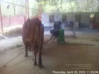 April 28 2022
