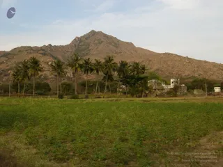 1978 - Tiruvannamalai