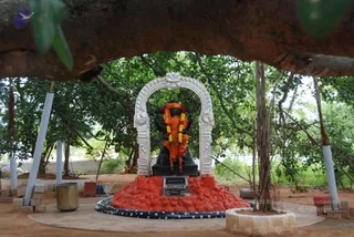 July 08 2010
