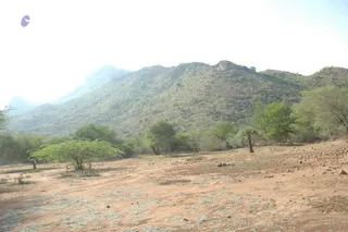 1978 - Tiruvannamalai - InnerGirivala