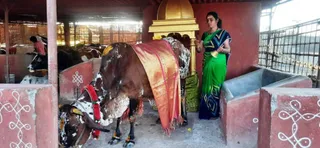 Jan 29 2022 sripuram