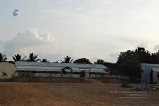 November 20 2008