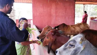 Jan 15 2022 sripuram