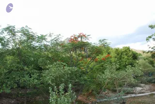 August 01 2008