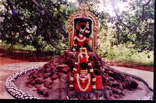 2004 - sacred collections uncategorised