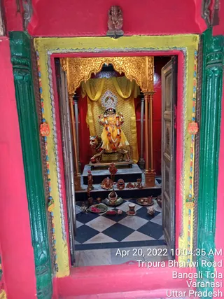 Photo 8288628