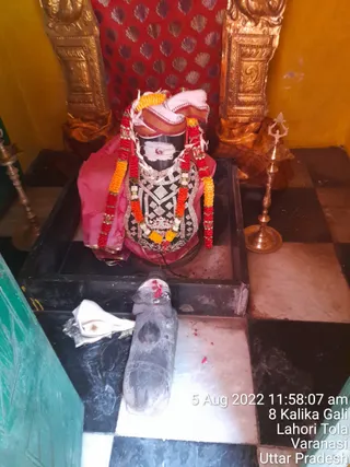 Photo 8288630