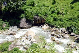 July 01 2008