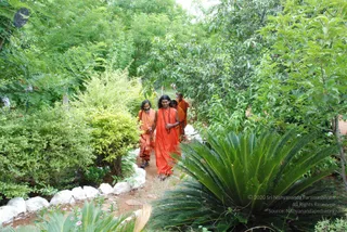 July 27 2008