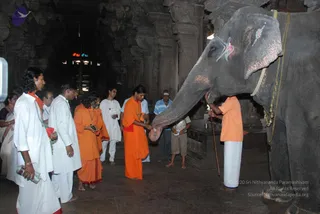 August 01 2009 - Kalpataru, Thiruvanaikaval, India