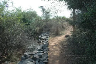 1978 - Tiruvannamalai - InnerGirivala